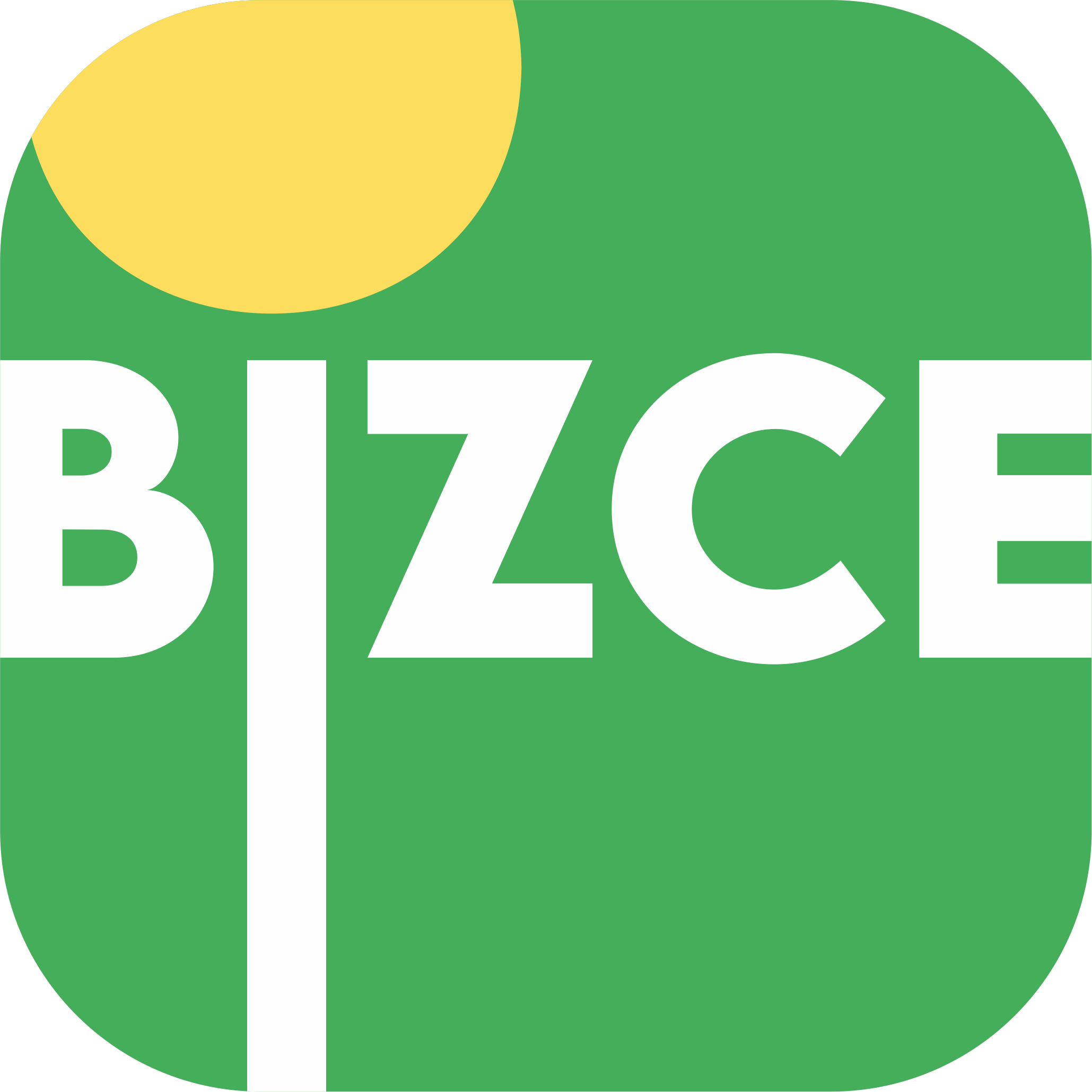 Bizce Logo